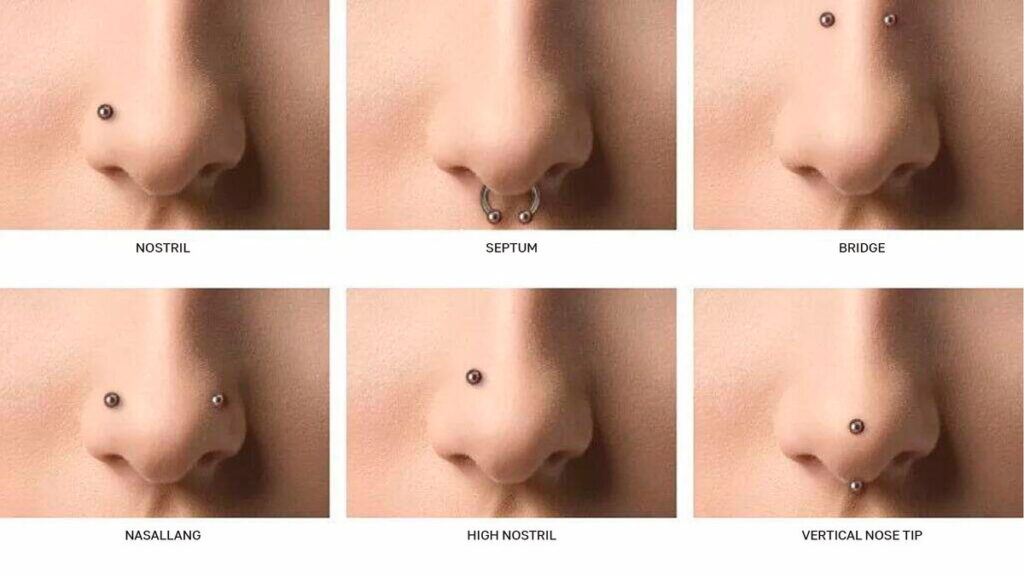 10 Types of Nose Piercings 2025 - Most Popular 10 scale 1200 看图王